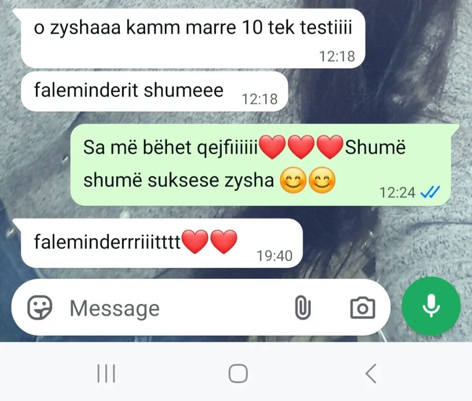 Tirane, kurse per lendet shkollore Studim pas shkolle/Afterskull