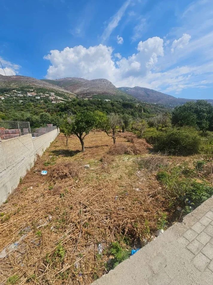 Sarande, shes SHITET TOKË NË BORSH – MUNDËSI PERFEKTE INVESTIMI! Sipërfaqja: 5200 m²