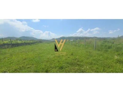 Tirane, shitet toke , 3.000 m² 450.000 € (RINAS)