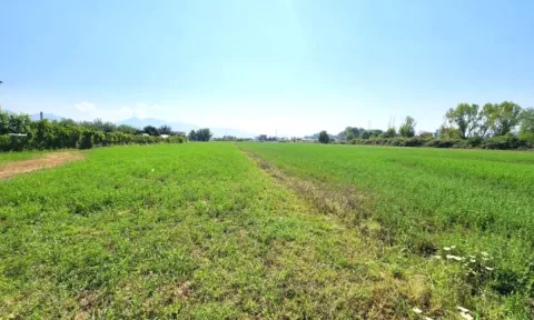 🟤 Shitet Toke 3500m2 Pas Megatek 🏬 ( Autostrada - Tirane - Durres 📍) (( 160,000Euro)) - Vendodhje Strategjike 🟢