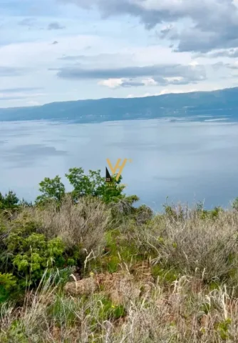 Pogradec, shitet truall , 180.000 m² 1.000.000 € (POGRADEC)