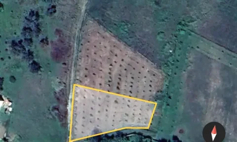 SHITET SUPER TOKE: 3221m2 📍 Ne Qeha 5 Min Nga Mulleti ( 95Euro/m2 Ultra Okazion) (( 297,000Euro ))💣