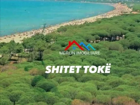 Rrogozhine, shitet toke ne bregdet , 10.000 m² 700.000 €