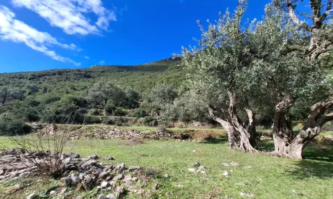 SUPER Toke ne Shitje 600 m2 📍Ne Borsh - Te karburanti (Rruga e Lumit) 🔥 (72.000 EURO) ( super cmim)🔥100 m nga rruga Krye