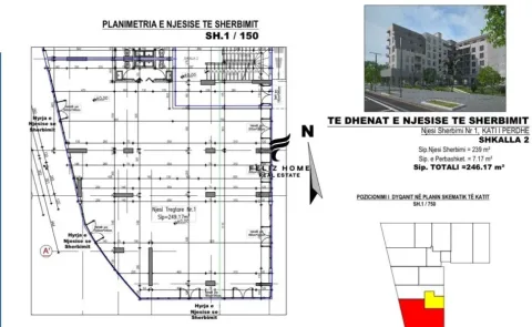 Tirane, shitet ambjent biznesi Kati 0, 246 m² 1.230.850 € (ASTIR)