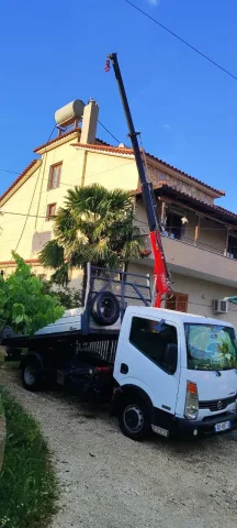 Shitet, Nissan Cabstar