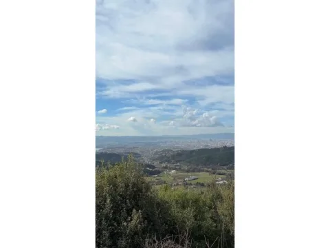 Tirane, shitet truall , 3.100 m² 250.000 €
