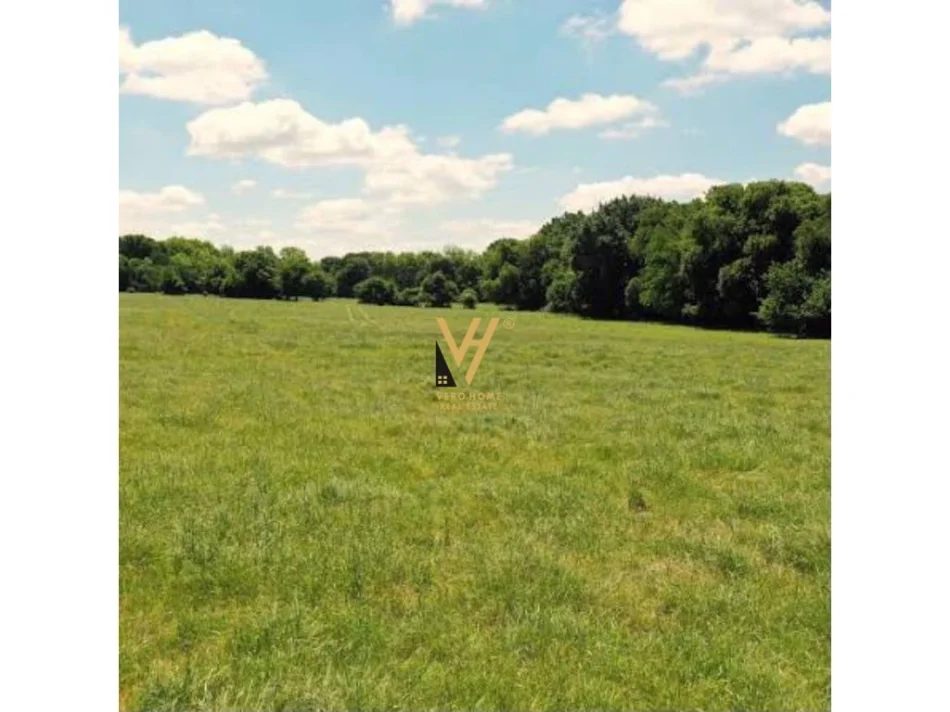 Tirane, shitet toke , 2.500 m² 250.000 € (SHENGJERGJ)