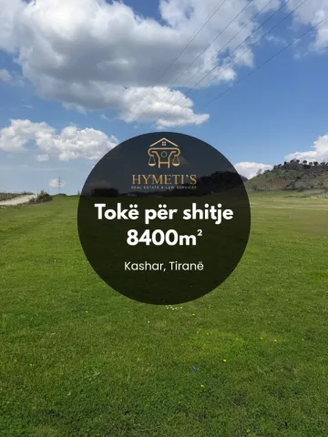 shitet toke , 8.400 m² (Kashar)