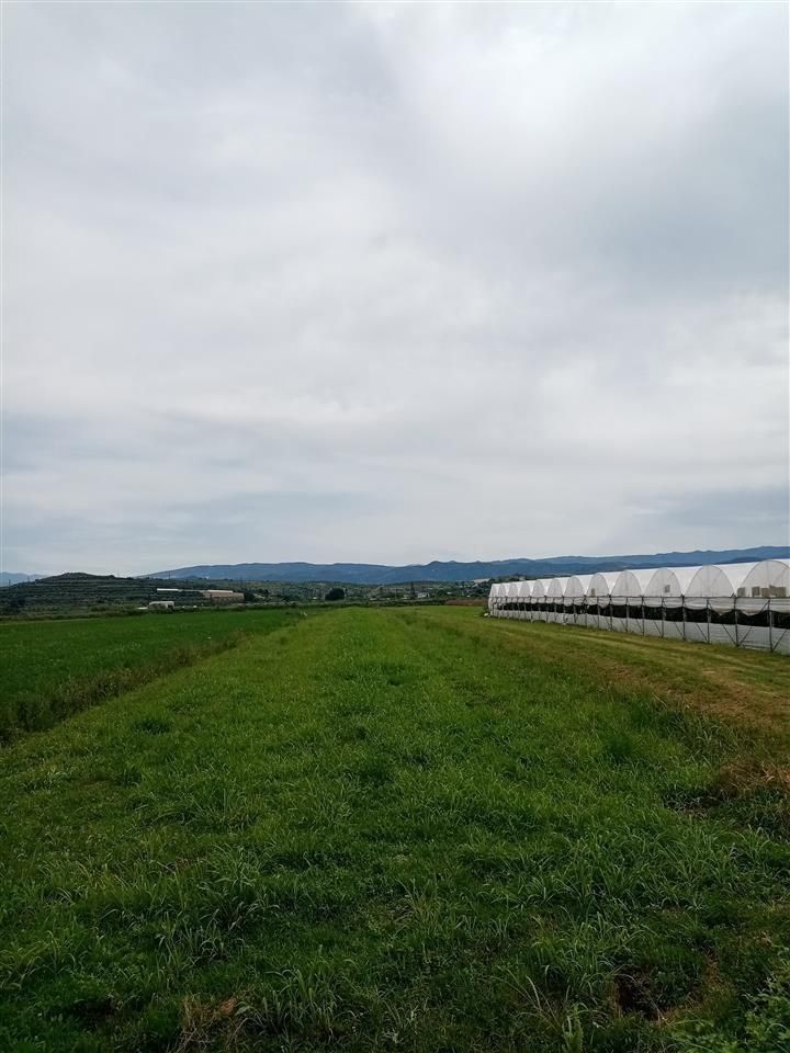 SHITET TOKA KUCOVE (KOZARE) - 3700 m2